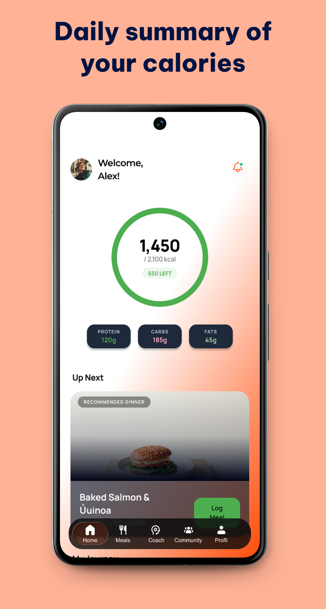 Résumé calorique quotidien dans l'application